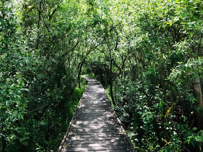 Hey Pandas, Share The Best Photo You’ve Taken (Closed) Hey Pandas, Share The Best Photo You’ve Taken (Closed)