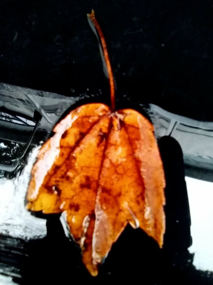 Hey Pandas, Share The Best Photo You’ve Taken (Closed) Hey Pandas, Share The Best Photo You’ve Taken (Closed)