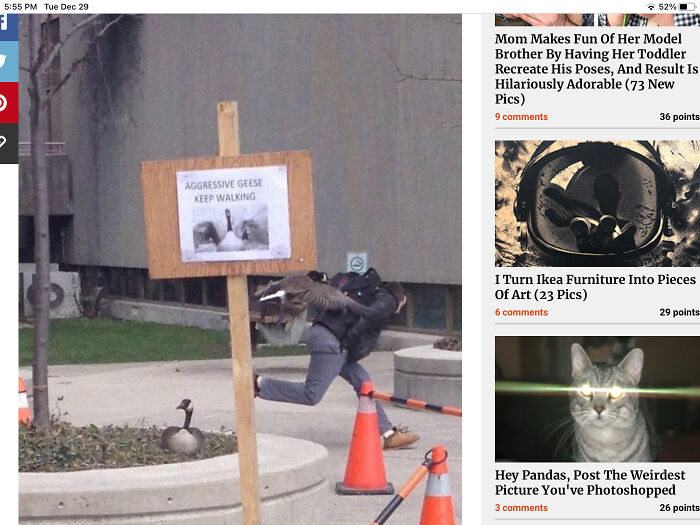 Hey Pandas, Post A Picture From A Different Bored Panda Post And We&#8217;ll Try To Guess Which Post It Was (Closed)