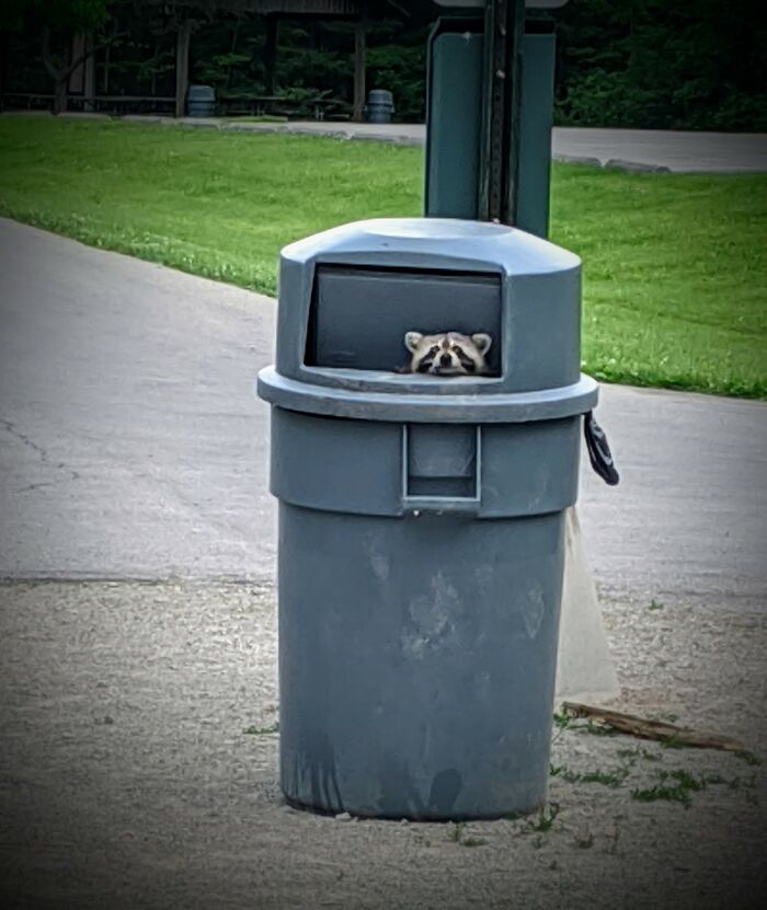 This Facebook Group Is Dedicated To Crappy Wildlife Photos That Are So Bad They&#8217;re Good (50 New Pics)