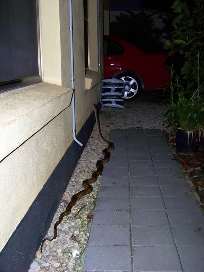 This Facebook Group Is Dedicated To Crappy Wildlife Photos That Are So Bad They&#8217;re Good (50 New Pics)