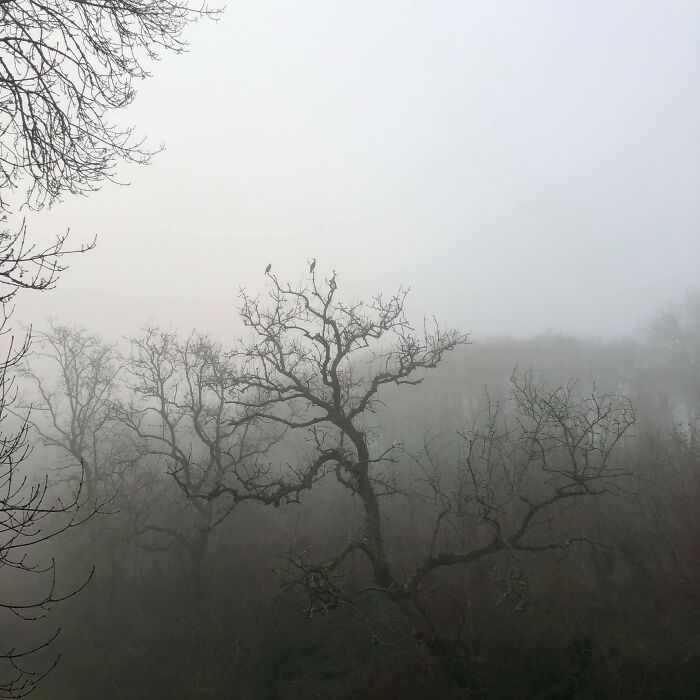 This Facebook Group Is Dedicated To Crappy Wildlife Photos That Are So Bad They&#8217;re Good (50 New Pics)