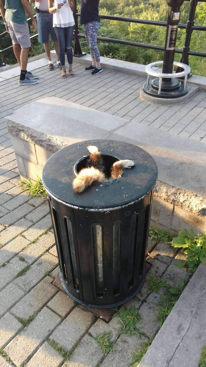 This Facebook Group Is Dedicated To Crappy Wildlife Photos That Are So Bad They&#8217;re Good (50 New Pics)