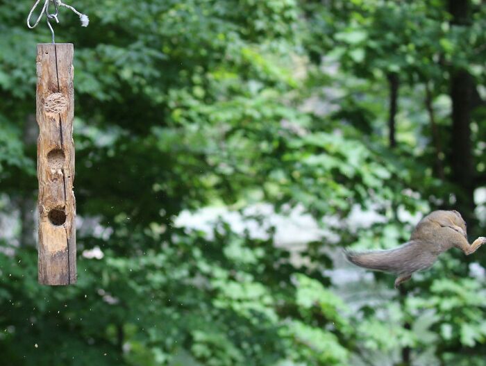 This Facebook Group Is Dedicated To Crappy Wildlife Photos That Are So Bad They&#8217;re Good (50 New Pics)