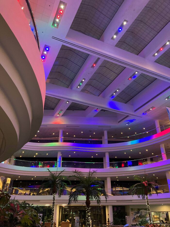 This Online Group Is Dedicated To “Mildly Interesting” Stuff, And Here Are Their 50 Best Posts This Online Group Is Dedicated To “Mildly Interesting” Stuff, And Here Are Their 50 Best Posts