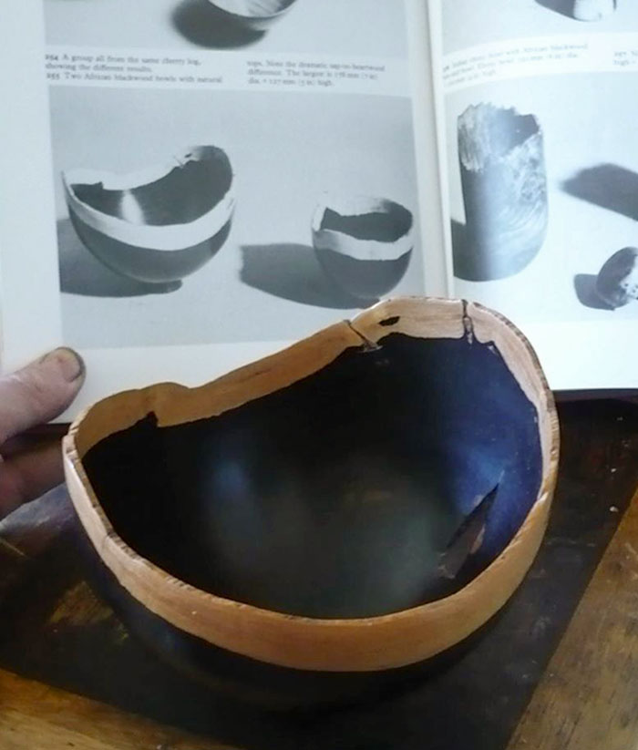 50 Times People Found The Most Unexpected Things 50 Times People Found The Most Unexpected Things