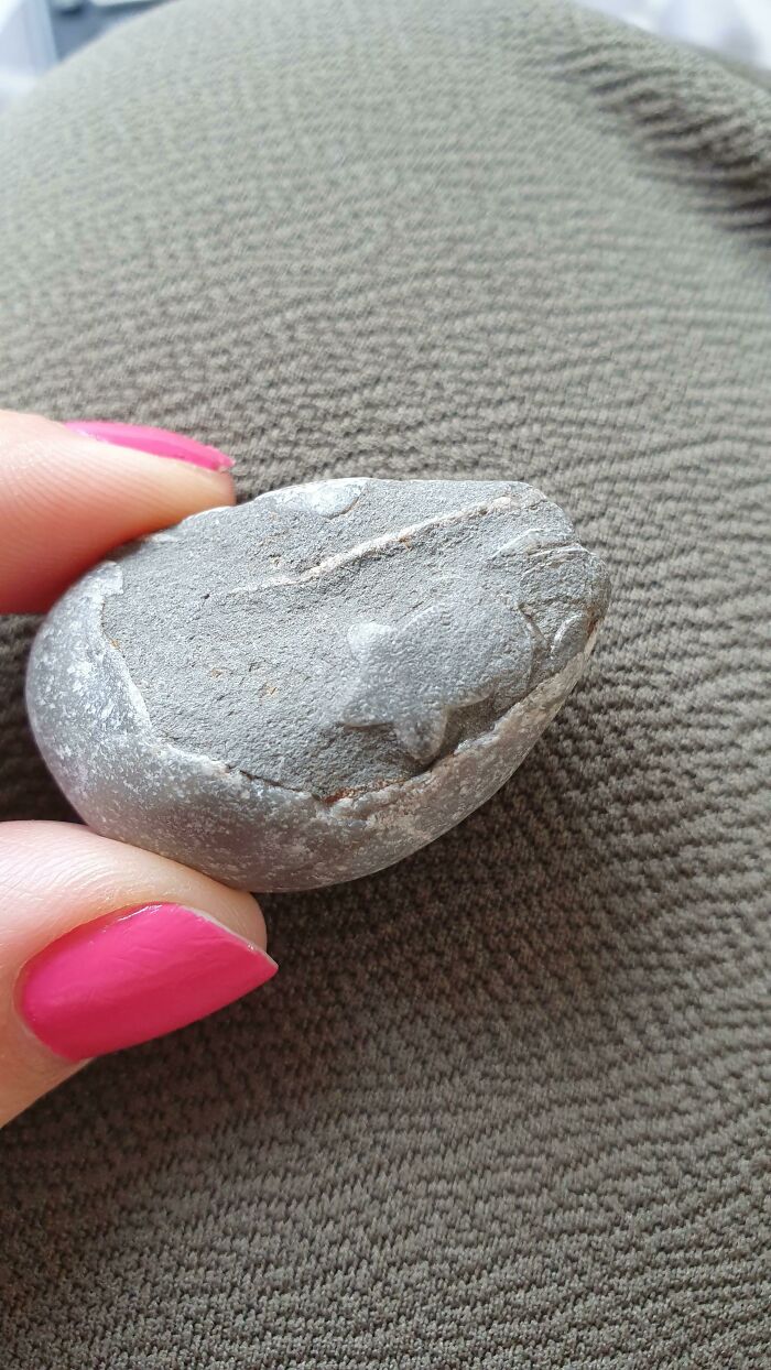 50 Times People Found The Most Unexpected Things 50 Times People Found The Most Unexpected Things