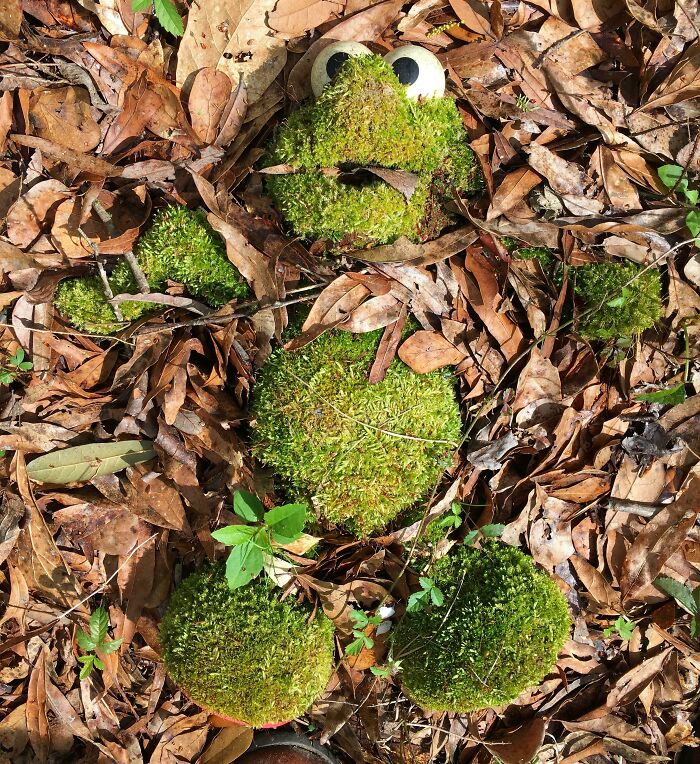 50 Times People Found The Most Unexpected Things 50 Times People Found The Most Unexpected Things