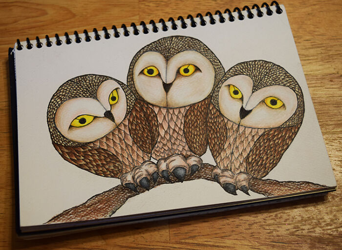 Hey Pandas, Draw Or Paint An Owl And Post The Result Here (Closed) Hey Pandas, Draw Or Paint An Owl And Post The Result Here (Closed)