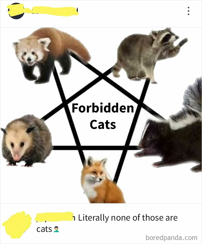 40 Times People Missed The Joke So Bad, They Made Fools Out Of Themselves In Front Of The Whole Internet (New Pics) 40 Times People Missed The Joke So Bad, They Made Fools Out Of Themselves In Front Of The Whole Internet (New Pics)