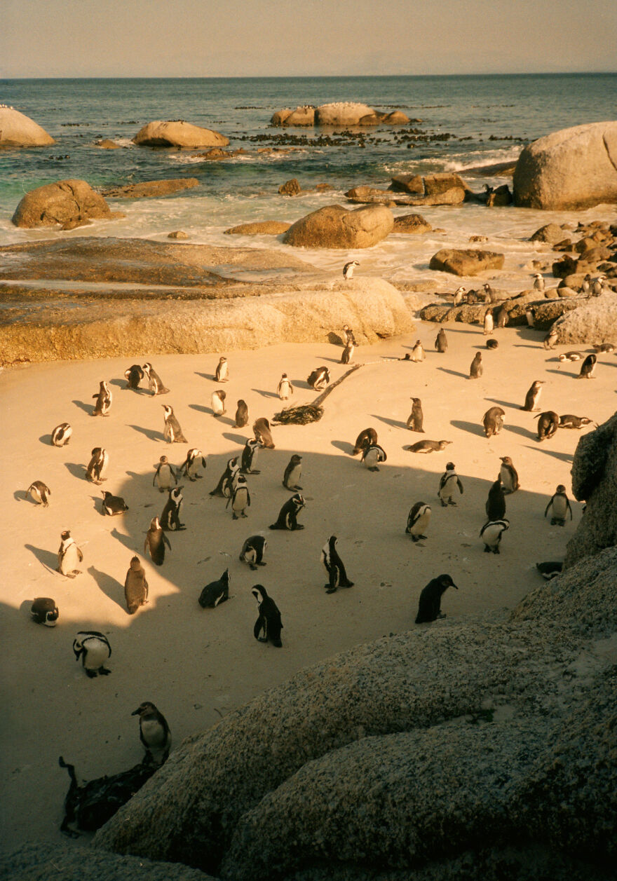 My Photography Exhibition “On Goodness” Transforms Vilnius Into An Open-Air Gallery (29 Pics) My Photography Exhibition “On Goodness” Transforms Vilnius Into An Open-Air Gallery (29 Pics)