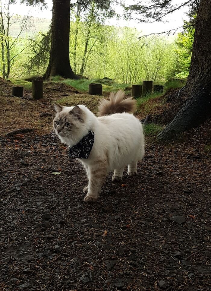 Hey Pandas, Share The Prettiest Photo Of Your Pet (Closed) Hey Pandas, Share The Prettiest Photo Of Your Pet (Closed)