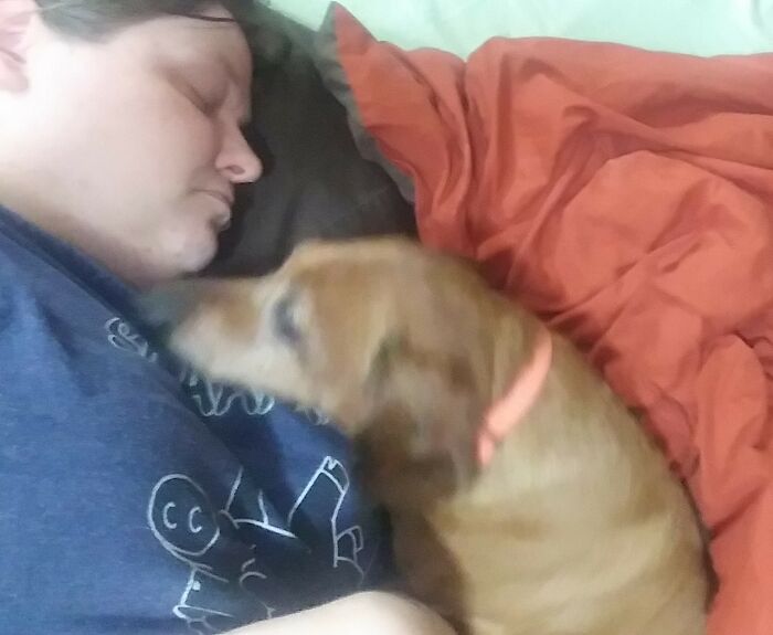 Hey Pandas, Share The Prettiest Photo Of Your Pet (Closed) Hey Pandas, Share The Prettiest Photo Of Your Pet (Closed)