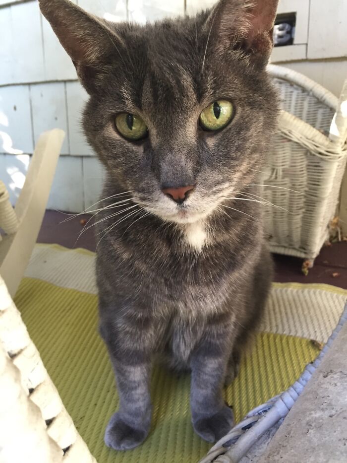 Hey Pandas, Share The Prettiest Photo Of Your Pet (Closed) Hey Pandas, Share The Prettiest Photo Of Your Pet (Closed)