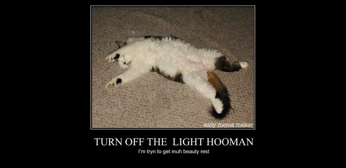 Hey Pandas, Share The Prettiest Photo Of Your Pet (Closed) Hey Pandas, Share The Prettiest Photo Of Your Pet (Closed)