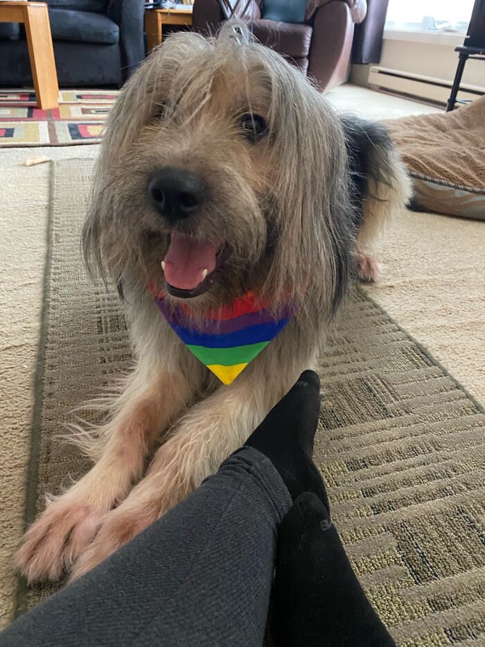 Hey Pandas, Share The Prettiest Photo Of Your Pet (Closed) Hey Pandas, Share The Prettiest Photo Of Your Pet (Closed)