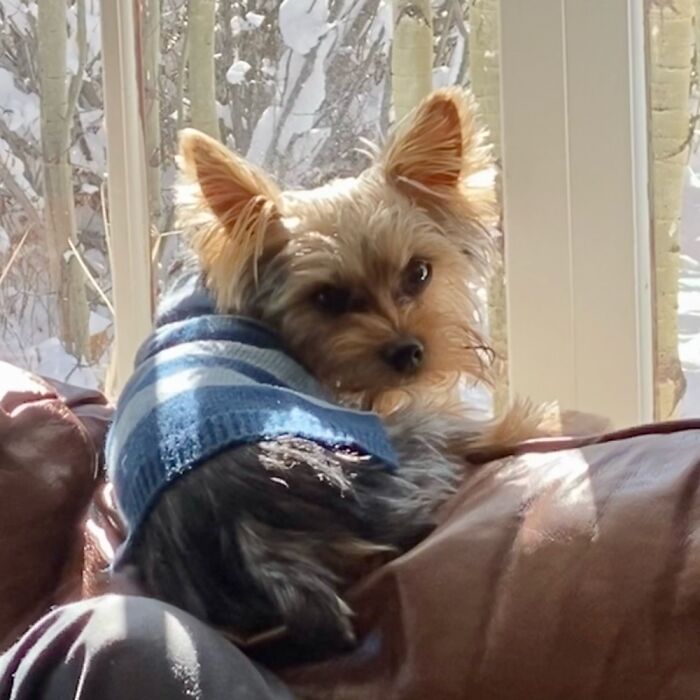 Hey Pandas, Share The Prettiest Photo Of Your Pet (Closed) Hey Pandas, Share The Prettiest Photo Of Your Pet (Closed)