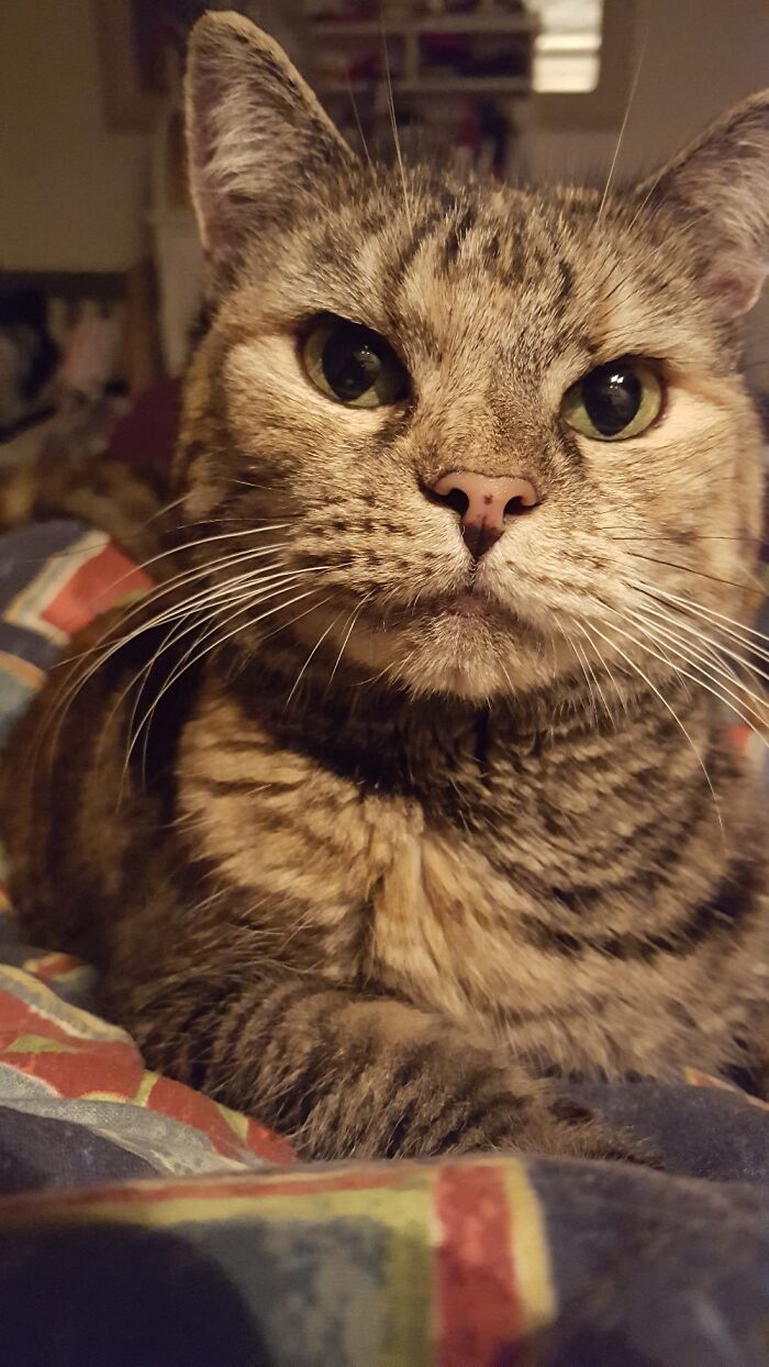 Hey Pandas, Share The Prettiest Photo Of Your Pet (Closed) Hey Pandas, Share The Prettiest Photo Of Your Pet (Closed)