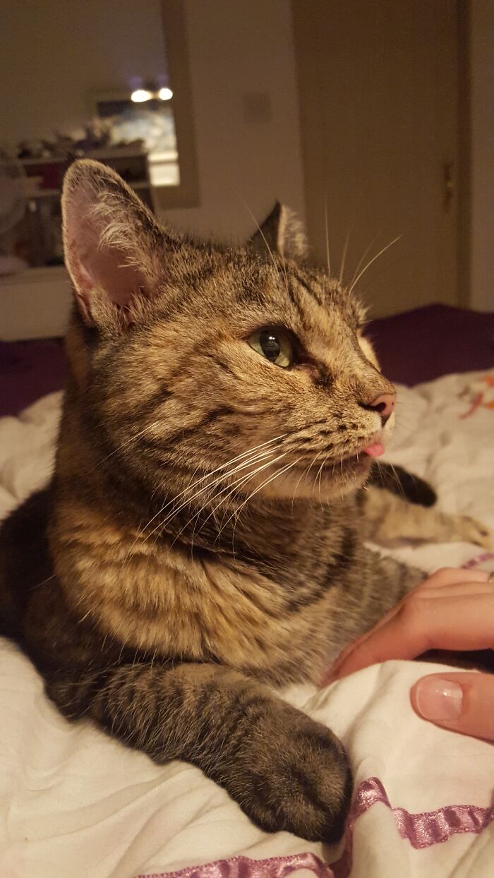 Hey Pandas, Share The Prettiest Photo Of Your Pet (Closed) Hey Pandas, Share The Prettiest Photo Of Your Pet (Closed)