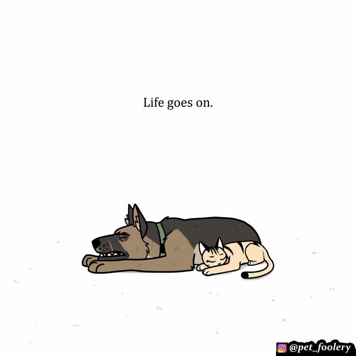 The Creator Of ‘Pixie And Brutus’ Finally Reveals How Brutus Got His Scars, And People Can’t Hold Back The Tears The Creator Of ‘Pixie And Brutus’ Finally Reveals How Brutus Got His Scars, And People Can’t Hold Back The Tears