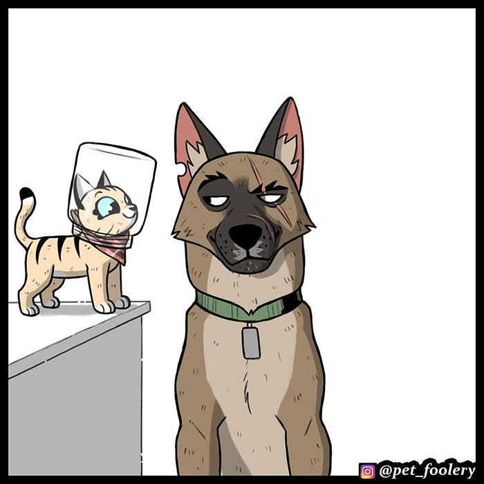 The Creator Of ‘Pixie And Brutus’ Finally Reveals How Brutus Got His Scars, And People Can’t Hold Back The Tears The Creator Of ‘Pixie And Brutus’ Finally Reveals How Brutus Got His Scars, And People Can’t Hold Back The Tears