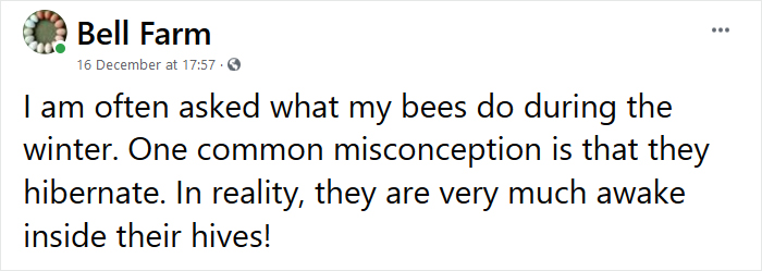 Beekeeper Shares What Bees Do To Stay Warm During Winter Because They Don&#8217;t Hibernate