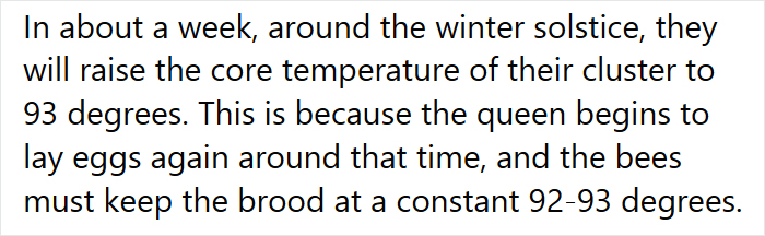 Beekeeper Shares What Bees Do To Stay Warm During Winter Because They Don&#8217;t Hibernate