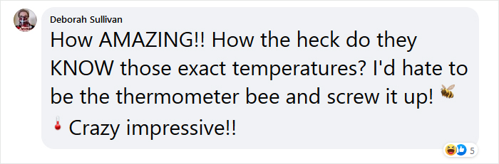 Beekeeper Shares What Bees Do To Stay Warm During Winter Because They Don&#8217;t Hibernate