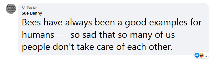 Beekeeper Shares What Bees Do To Stay Warm During Winter Because They Don&#8217;t Hibernate