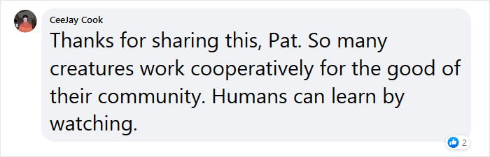 Beekeeper Shares What Bees Do To Stay Warm During Winter Because They Don’t Hibernate Beekeeper Shares What Bees Do To Stay Warm During Winter Because They Don’t Hibernate