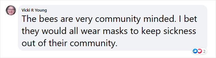 Beekeeper Shares What Bees Do To Stay Warm During Winter Because They Don&#8217;t Hibernate