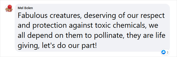 Beekeeper Shares What Bees Do To Stay Warm During Winter Because They Don&#8217;t Hibernate