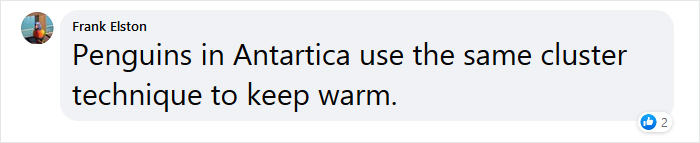 Beekeeper Shares What Bees Do To Stay Warm During Winter Because They Don&#8217;t Hibernate