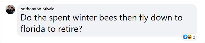 Beekeeper Shares What Bees Do To Stay Warm During Winter Because They Don&#8217;t Hibernate