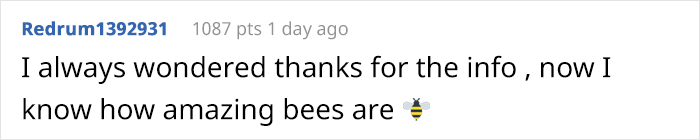 Beekeeper Shares What Bees Do To Stay Warm During Winter Because They Don&#8217;t Hibernate