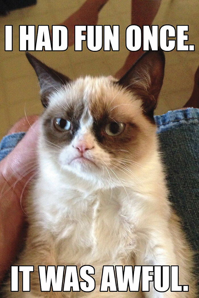 Hey Pandas, Post Your Favorite Cat Meme (Closed) Hey Pandas, Post Your Favorite Cat Meme (Closed)