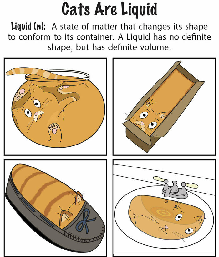 Hey Pandas, Post Your Favorite Cat Meme (Closed) Hey Pandas, Post Your Favorite Cat Meme (Closed)