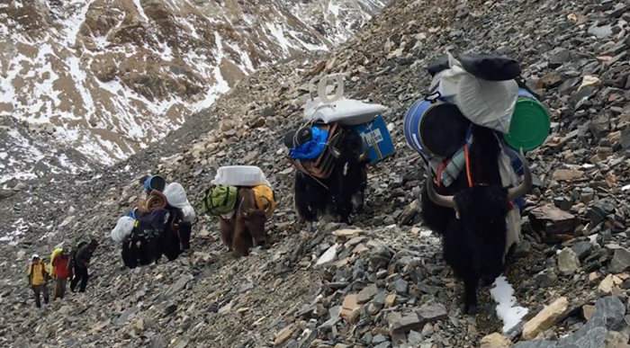 Alpinist Organizes A Massive Clean-Up Of Mount Everest, Removes 8.5 Tons Of Rubbish Alpinist Organizes A Massive Clean-Up Of Mount Everest, Removes 8.5 Tons Of Rubbish