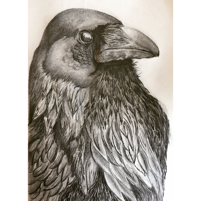 Hey Pandas, Post Your Most Recent Artwork (Closed) Hey Pandas, Post Your Most Recent Artwork (Closed)