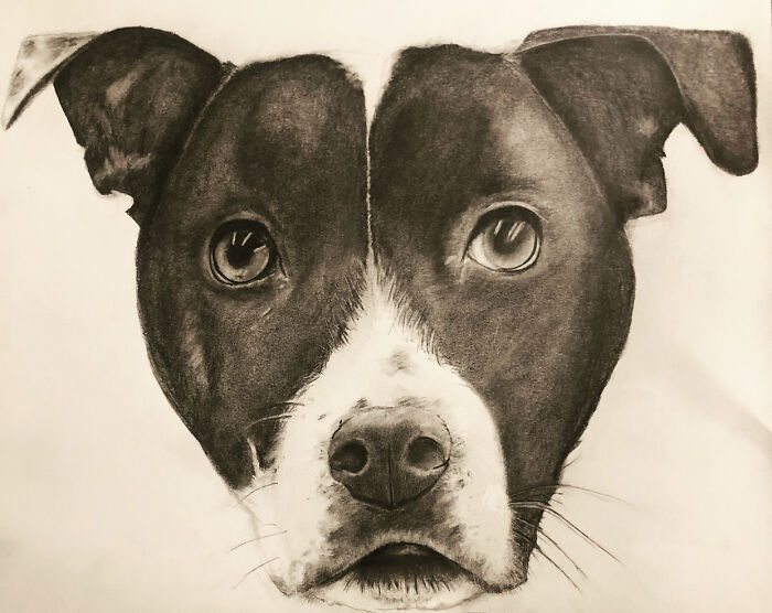 Hey Pandas, Post Your Most Recent Artwork (Closed) Hey Pandas, Post Your Most Recent Artwork (Closed)