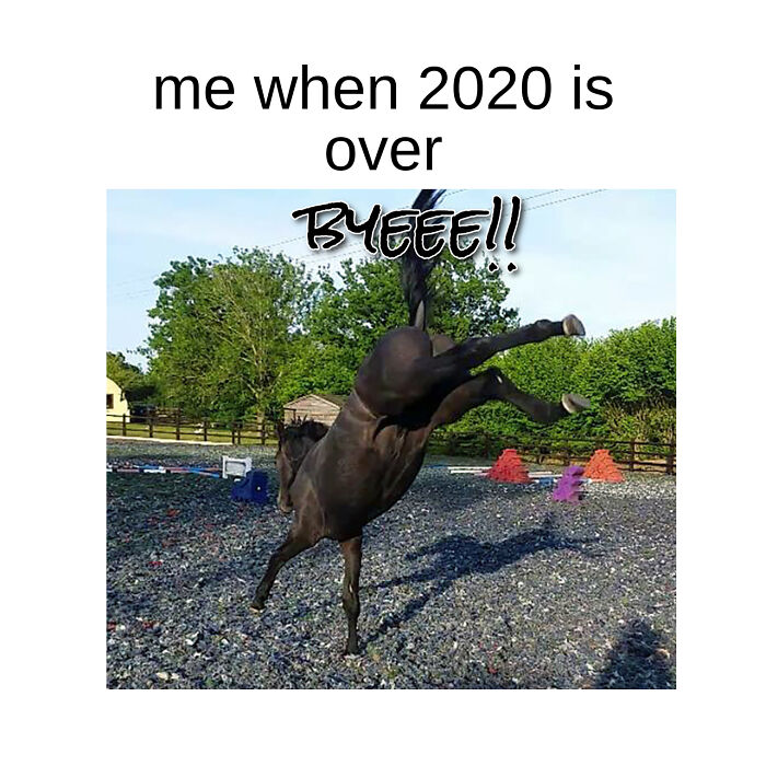 Hey Pandas, Make A Meme About Yourself (Closed) Hey Pandas, Make A Meme About Yourself (Closed)