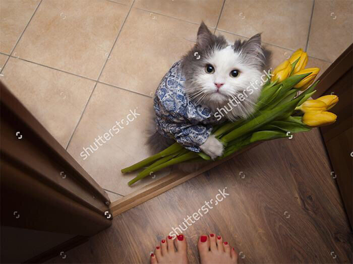 Hey Pandas, Post The Funniest And Weirdest Stock Photos (Closed) Hey Pandas, Post The Funniest And Weirdest Stock Photos (Closed)