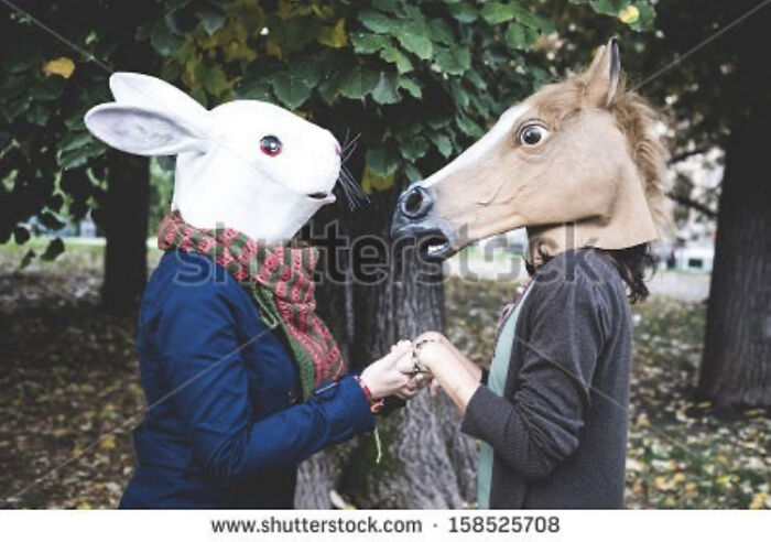 Hey Pandas, Post The Funniest And Weirdest Stock Photos (Closed) Hey Pandas, Post The Funniest And Weirdest Stock Photos (Closed)