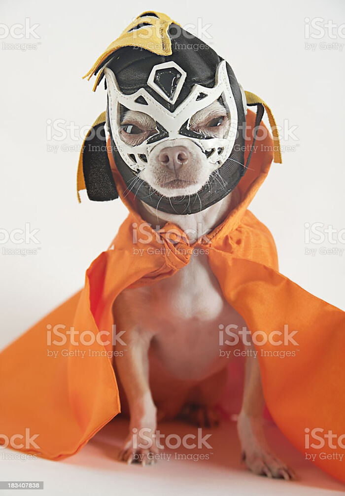 Hey Pandas, Post The Funniest And Weirdest Stock Photos (Closed) Hey Pandas, Post The Funniest And Weirdest Stock Photos (Closed)