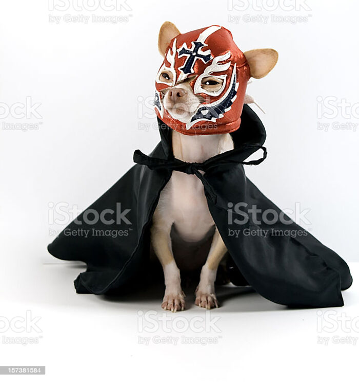 Hey Pandas, Post The Funniest And Weirdest Stock Photos (Closed) Hey Pandas, Post The Funniest And Weirdest Stock Photos (Closed)