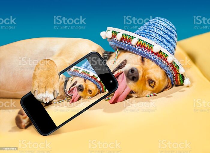 Hey Pandas, Post The Funniest And Weirdest Stock Photos (Closed) Hey Pandas, Post The Funniest And Weirdest Stock Photos (Closed)