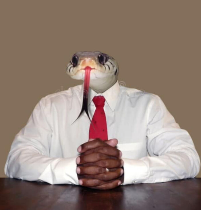 Hey Pandas, Post The Funniest And Weirdest Stock Photos (Closed) Hey Pandas, Post The Funniest And Weirdest Stock Photos (Closed)