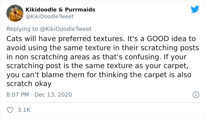 Person Shares How To Have Nice Furniture And A Happy Cat Instead Of Declawing It Person Shares How To Have Nice Furniture And A Happy Cat Instead Of Declawing It