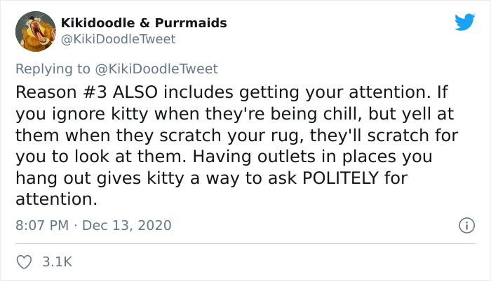 Person Shares How To Have Nice Furniture And A Happy Cat Instead Of Declawing It Person Shares How To Have Nice Furniture And A Happy Cat Instead Of Declawing It