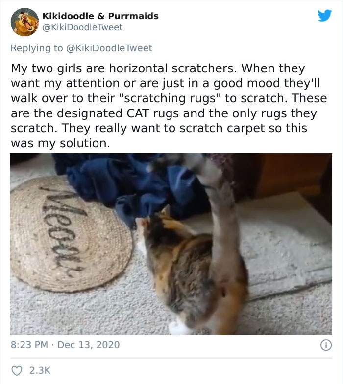 Person Shares How To Have Nice Furniture And A Happy Cat Instead Of Declawing It Person Shares How To Have Nice Furniture And A Happy Cat Instead Of Declawing It